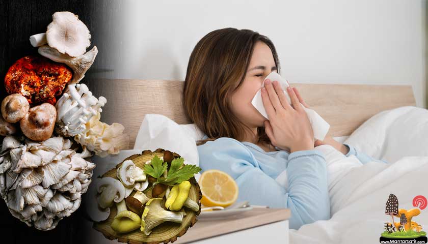 mantar ve grip